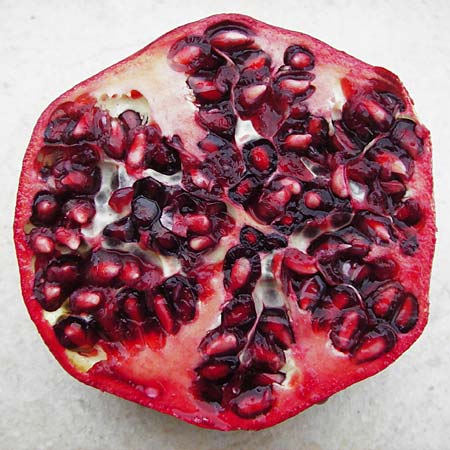 Punica granatum \ Granatapfel / Pomegranate, D  24.12.2014