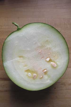 Citrullus lanatus \ Wasser-Melone / Water Melon, D Mannheim 14.9.2013
